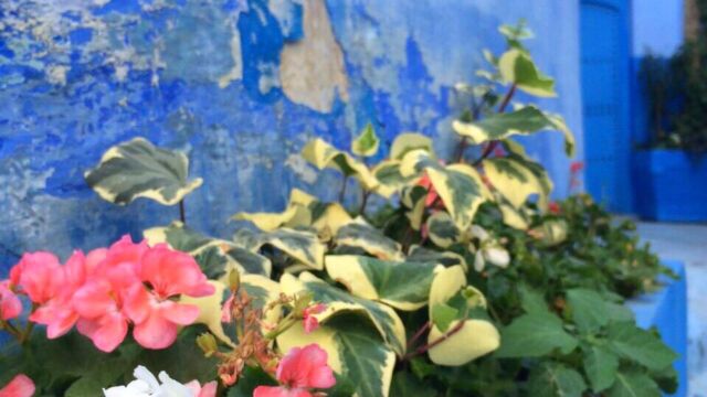 モロッコ シャウエン モロッコ シャウエン