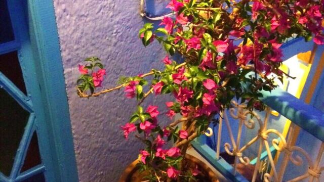 モロッコ シャウエン モロッコ シャウエン