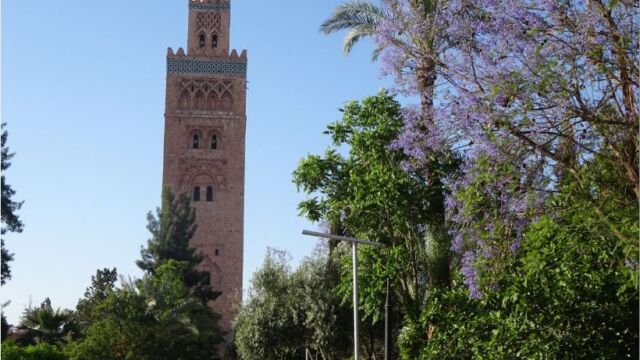 クトゥビア クトゥビア