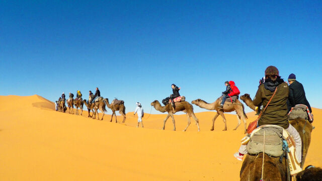 サハラ ツアー サハラ ツアー