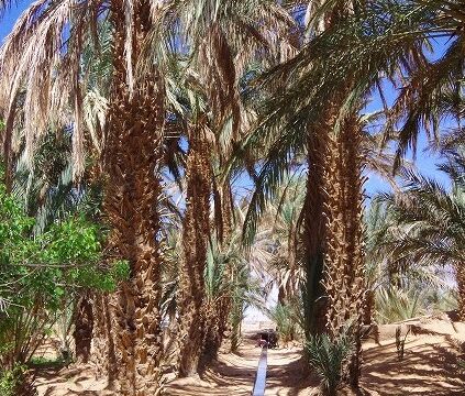 Hassi Labied Village公共水路 Hassi Labied Village公共水路