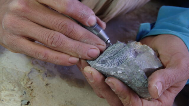 化石職人 化石職人