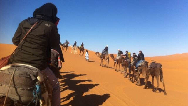 サハラ ツアー サハラ ツアー
