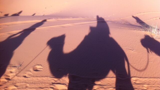 サハラ ツアー サハラ ツアー