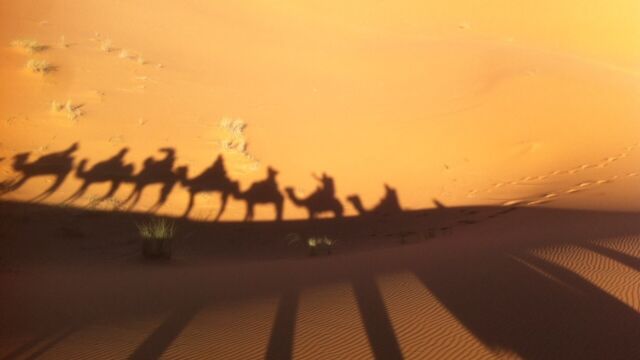 サハラ ツアー サハラ ツアー