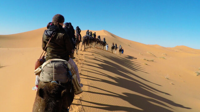 サハラ ツアー サハラ ツアー