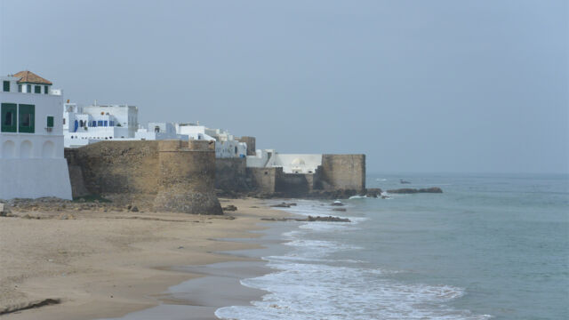 とっても落ち着きます