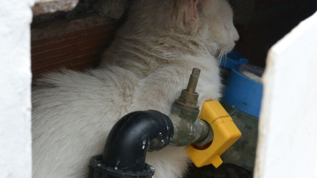 この子はあまり人を好きでない様子・・・