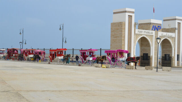 ムディナ出口ではたくさんの馬車が観光客を出待ち