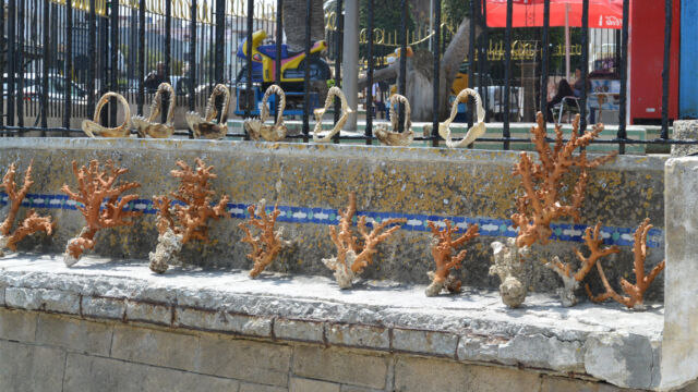 サンゴ?などのお土産やさん