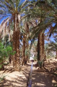 Hassi Labied Village公共水路