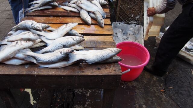 カサブランカ 市場 カサブランカ 市場