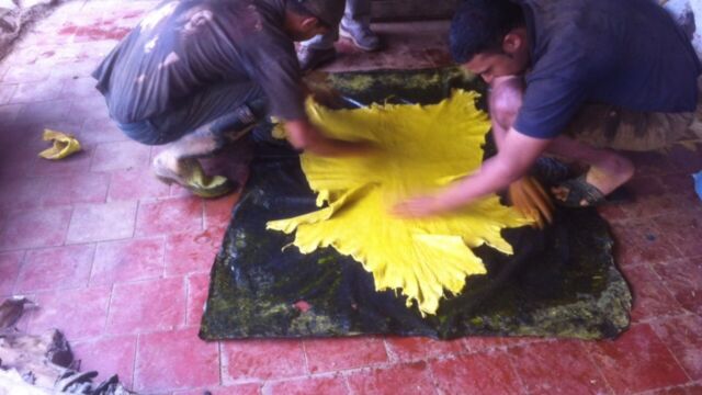 フェズ タンネリ サフランで色付け フェズ タンネリ サフランで色付け
