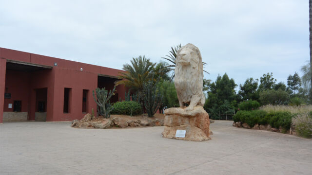 シンボルのアトラスライオン?