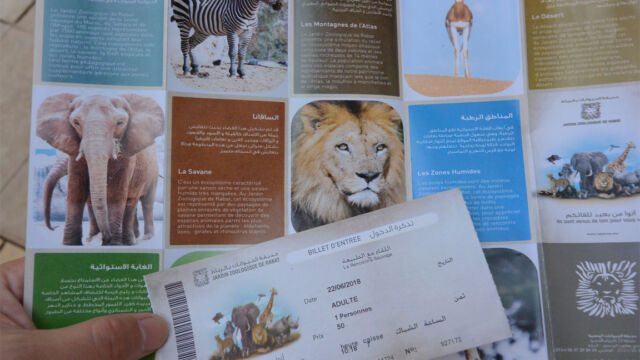 チケットとパンフレット